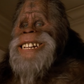 bigfoot harry et les hendersons